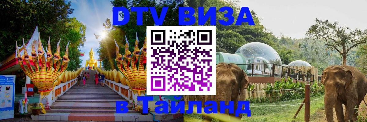 Сколько стоит DTV виза — актуальные цены, оформление даже без документов - Великий Новгород  05.10.2025 